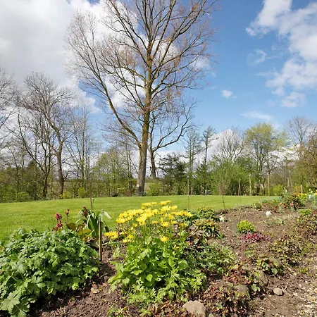 Coni Апартаменты